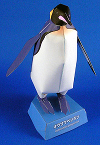 頭の両脇と首周りがオレンジ色のオウサマペンギンです