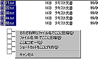 「LHA Shell Extensions」