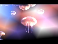 窓の杜 今日のお気に入り 幻想的クラゲの3dスクリーンセーバー Jellyfish V1 00