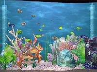 窓の杜 Review News 熱帯魚が画面を左右に泳ぎ回るスクリーンセーバー Aquascape 3d Demo V3 2