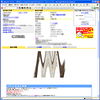 IEで出品ページを表示した状態