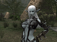 こちらはダークエルフの女魔導士。装備する武器や鎧が変わると外見も変わる