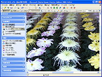 「Microsoft Digital Image Starter Edition 2006」のEditor画面