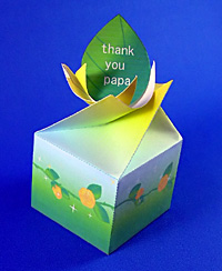 葉っぱ型のカードが飛び出るように箱の口を閉じれば完成！　黄色と緑のグラデーションがきれいです