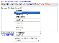 日本語版でもフォームのスペルチェック機能が利用可能になった