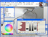 「Paint.NET」v3.0