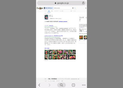 スマホで撮影した 写真 からgoogle画像検索する裏技 窓の杜