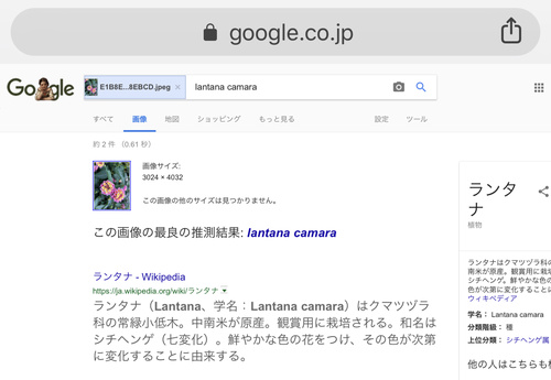 スマホで撮影した 写真 からgoogle画像検索する裏技 窓の杜