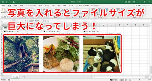 Excel 写真入り資料のサイズが大きすぎてメールできない エクセル画像圧縮テク いまさら聞けないexcelの使い方講座 窓の杜