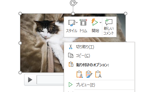 Powerpointにアニメーションgifエクスポート機能が降臨 高橋忍のにゃんともwindows 窓の杜