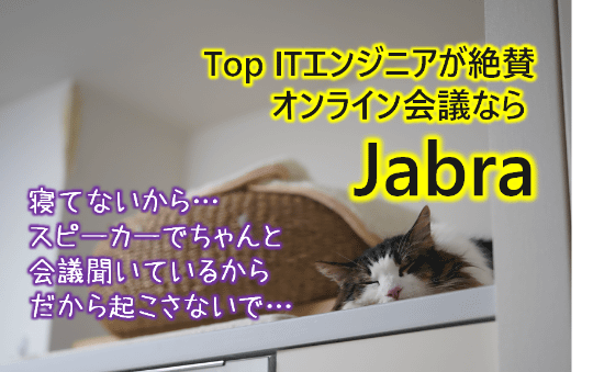 Itエンジニアが絶賛するテレワークの必需品 Jabraのヘッドフォン マイク 高橋忍のにゃんともwindows 窓の杜