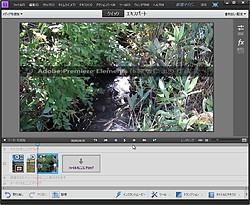 Adobe Adobe Photoshop Elements 11 Adobe Premiere Elements 11