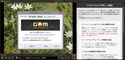 動画の一部をアニメーションgifで出力可能になった Gom Player V2 2 69 5227 窓の杜