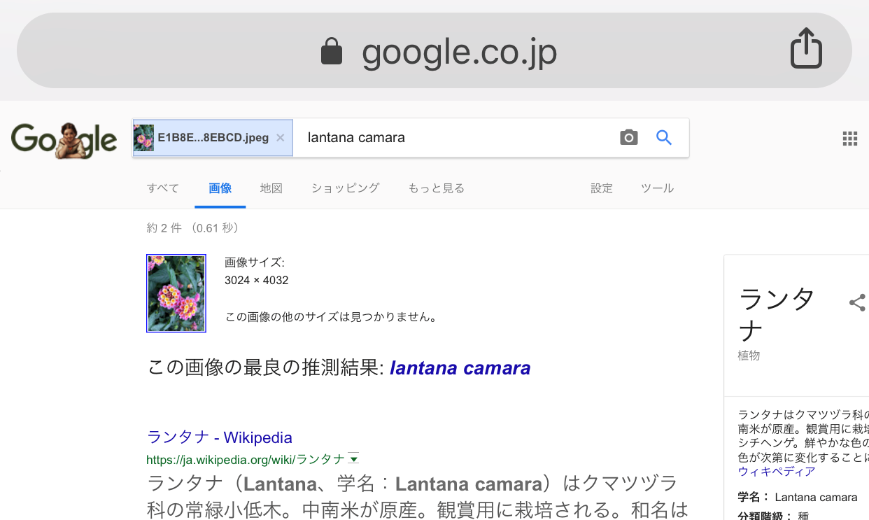 Android端末で似ている画像を検索する方法 - 行き着く先はあんこ