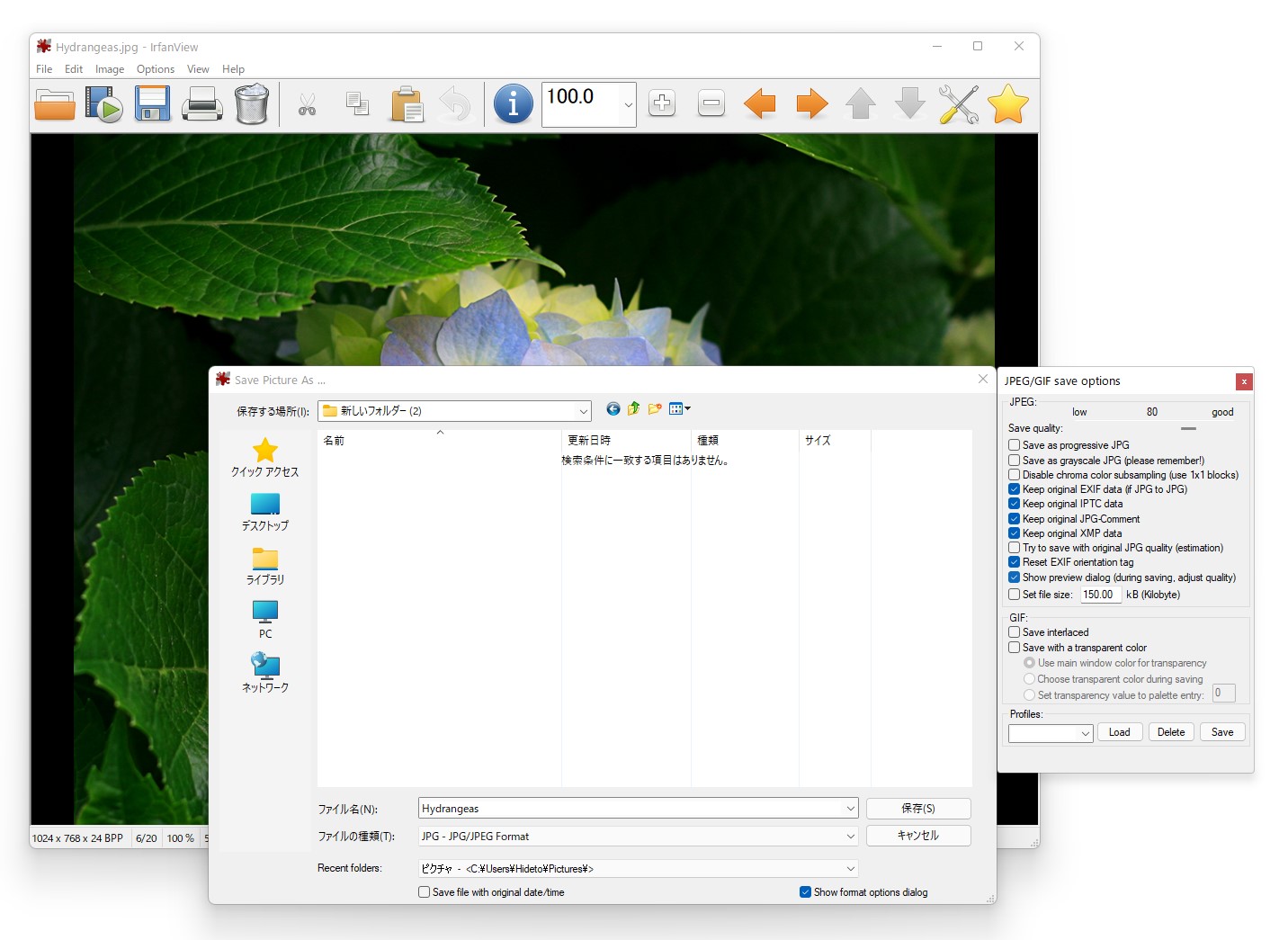 次世代JPEG規格「JPEG XL」に対応した「IrfanView」v4.59 - 窓の杜