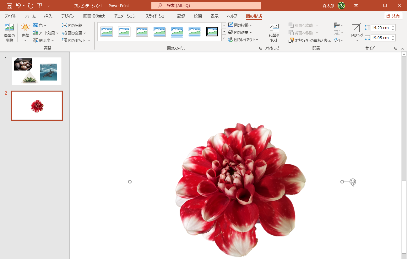 Powerpointは被写体の自動トリミングも可能 写真の切り抜きもパワポだけで完結 残業を減らす Officeテクニック 窓の杜