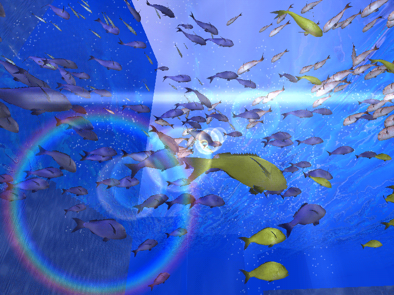 Fish Saver 2 魚が泳ぎまわる3dスクリーンセーバー 窓の杜